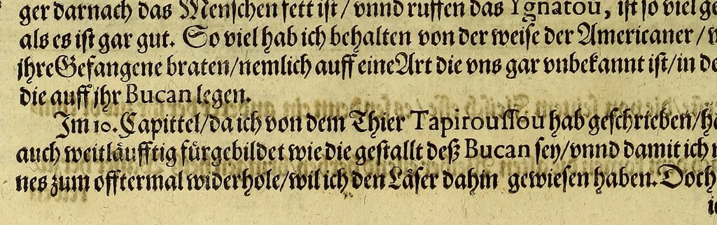 An illustration from Dritte Buch Americae, darinn Brasilia : durch Johann Staden von Homberg auss Hessen, auss eigener erfahrung in Teutsch beschrieben. Item Historia der Schiffart Ioannis Lerij in Brasilien, welche er selbst publiciert hat, jetzt von newem verteutscht, durch Teucrium Annaeum Priuatum, C. Vom Wildern vnerhörtem wesen der Innwoner, von allerley frembden Gethieren vnd Gewächsen, sampt einem Colloquio, in der Wilden Sprach., 1606, leaf 262