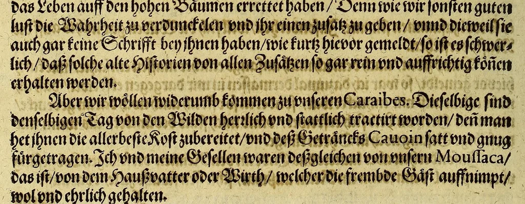 An illustration from Dritte Buch Americae, darinn Brasilia : durch Johann Staden von Homberg auss Hessen, auss eigener erfahrung in Teutsch beschrieben. Item Historia der Schiffart Ioannis Lerij in Brasilien, welche er selbst publiciert hat, jetzt von newem verteutscht, durch Teucrium Annaeum Priuatum, C. Vom Wildern vnerhörtem wesen der Innwoner, von allerley frembden Gethieren vnd Gewächsen, sampt einem Colloquio, in der Wilden Sprach., 1606, leaf 290