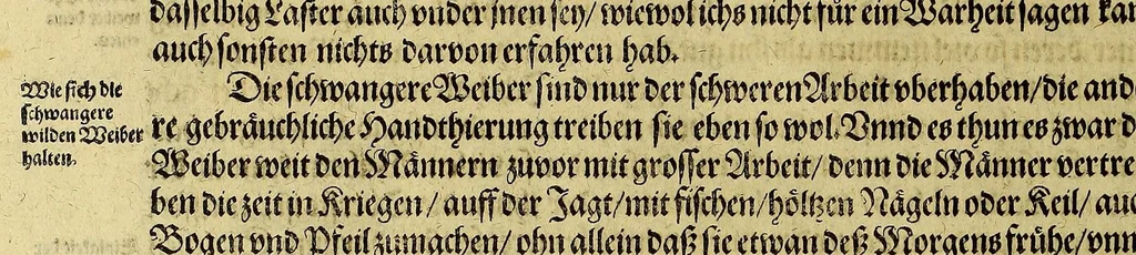 An illustration from Dritte Buch Americae, darinn Brasilia : durch Johann Staden von Homberg auss Hessen, auss eigener erfahrung in Teutsch beschrieben. Item Historia der Schiffart Ioannis Lerij in Brasilien, welche er selbst publiciert hat, jetzt von newem verteutscht, durch Teucrium Annaeum Priuatum, C. Vom Wildern vnerhörtem wesen der Innwoner, von allerley frembden Gethieren vnd Gewächsen, sampt einem Colloquio, in der Wilden Sprach., 1606, leaf 298