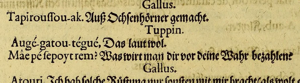 An illustration from Dritte Buch Americae, darinn Brasilia : durch Johann Staden von Homberg auss Hessen, auss eigener erfahrung in Teutsch beschrieben. Item Historia der Schiffart Ioannis Lerij in Brasilien, welche er selbst publiciert hat, jetzt von newem verteutscht, durch Teucrium Annaeum Priuatum, C. Vom Wildern vnerhörtem wesen der Innwoner, von allerley frembden Gethieren vnd Gewächsen, sampt einem Colloquio, in der Wilden Sprach., 1606, leaf 318