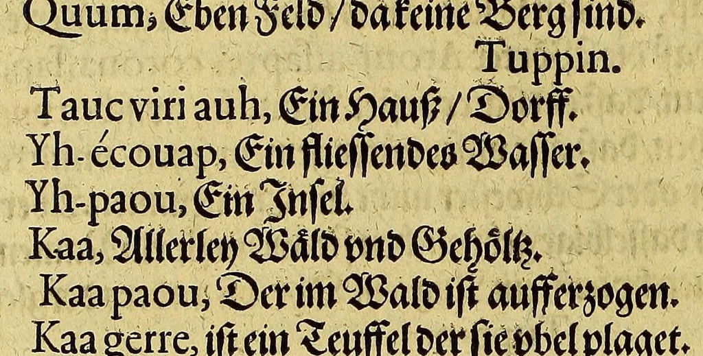 An illustration from Dritte Buch Americae, darinn Brasilia : durch Johann Staden von Homberg auss Hessen, auss eigener erfahrung in Teutsch beschrieben. Item Historia der Schiffart Ioannis Lerij in Brasilien, welche er selbst publiciert hat, jetzt von newem verteutscht, durch Teucrium Annaeum Priuatum, C. Vom Wildern vnerhörtem wesen der Innwoner, von allerley frembden Gethieren vnd Gewächsen, sampt einem Colloquio, in der Wilden Sprach., 1606, leaf 326