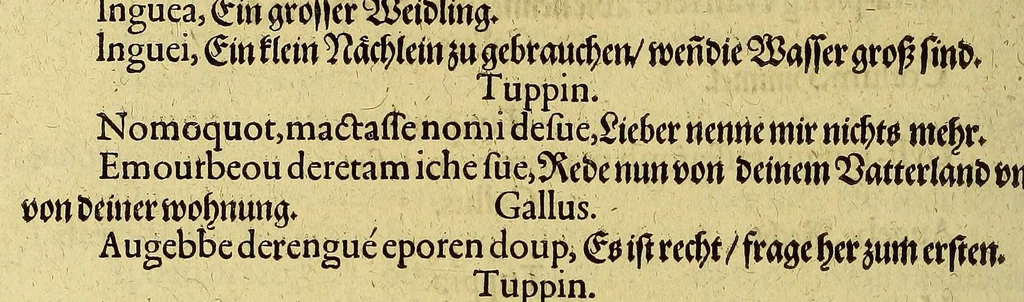 An illustration from Dritte Buch Americae, darinn Brasilia : durch Johann Staden von Homberg auss Hessen, auss eigener erfahrung in Teutsch beschrieben. Item Historia der Schiffart Ioannis Lerij in Brasilien, welche er selbst publiciert hat, jetzt von newem verteutscht, durch Teucrium Annaeum Priuatum, C. Vom Wildern vnerhörtem wesen der Innwoner, von allerley frembden Gethieren vnd Gewächsen, sampt einem Colloquio, in der Wilden Sprach., 1606, leaf 326