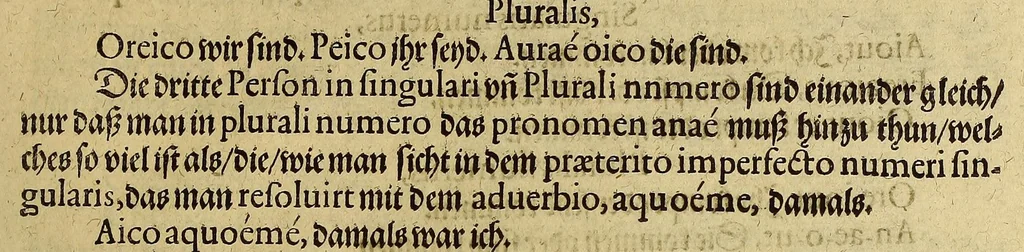 An illustration from Dritte Buch Americae, darinn Brasilia : durch Johann Staden von Homberg auss Hessen, auss eigener erfahrung in Teutsch beschrieben. Item Historia der Schiffart Ioannis Lerij in Brasilien, welche er selbst publiciert hat, jetzt von newem verteutscht, durch Teucrium Annaeum Priuatum, C. Vom Wildern vnerhörtem wesen der Innwoner, von allerley frembden Gethieren vnd Gewächsen, sampt einem Colloquio, in der Wilden Sprach., 1606, leaf 331