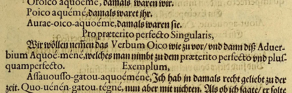 An illustration from Dritte Buch Americae, darinn Brasilia : durch Johann Staden von Homberg auss Hessen, auss eigener erfahrung in Teutsch beschrieben. Item Historia der Schiffart Ioannis Lerij in Brasilien, welche er selbst publiciert hat, jetzt von newem verteutscht, durch Teucrium Annaeum Priuatum, C. Vom Wildern vnerhörtem wesen der Innwoner, von allerley frembden Gethieren vnd Gewächsen, sampt einem Colloquio, in der Wilden Sprach., 1606, leaf 331
