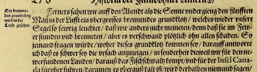 An illustration from Dritte Buch Americae, darinn Brasilia : durch Johann Staden von Homberg auss Hessen, auss eigener erfahrung in Teutsch beschrieben. Item Historia der Schiffart Ioannis Lerij in Brasilien, welche er selbst publiciert hat, jetzt von newem verteutscht, durch Teucrium Annaeum Priuatum, C. Vom Wildern vnerhörtem wesen der Innwoner, von allerley frembden Gethieren vnd Gewächsen, sampt einem Colloquio, in der Wilden Sprach., 1606, leaf 346