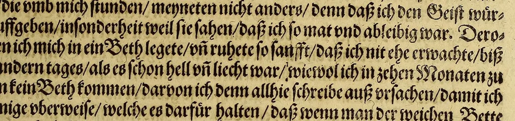 An illustration from Dritte Buch Americae, darinn Brasilia : durch Johann Staden von Homberg auss Hessen, auss eigener erfahrung in Teutsch beschrieben. Item Historia der Schiffart Ioannis Lerij in Brasilien, welche er selbst publiciert hat, jetzt von newem verteutscht, durch Teucrium Annaeum Priuatum, C. Vom Wildern vnerhörtem wesen der Innwoner, von allerley frembden Gethieren vnd Gewächsen, sampt einem Colloquio, in der Wilden Sprach., 1606, leaf 351