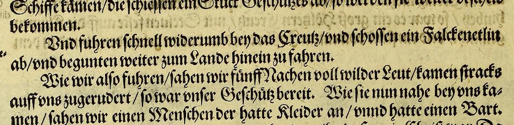 An illustration from Dritte Buch Americae, darinn Brasilia : durch Johann Staden von Homberg auss Hessen, auss eigener erfahrung in Teutsch beschrieben. Item Historia der Schiffart Ioannis Lerij in Brasilien, welche er selbst publiciert hat, jetzt von newem verteutscht, durch Teucrium Annaeum Priuatum, C. Vom Wildern vnerhörtem wesen der Innwoner, von allerley frembden Gethieren vnd Gewächsen, sampt einem Colloquio, in der Wilden Sprach., 1606, leaf 42