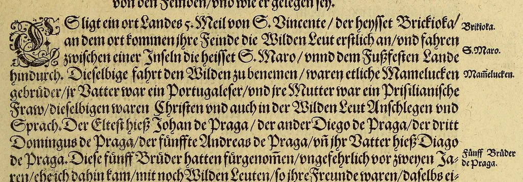 An illustration from Dritte Buch Americae, darinn Brasilia : durch Johann Staden von Homberg auss Hessen, auss eigener erfahrung in Teutsch beschrieben. Item Historia der Schiffart Ioannis Lerij in Brasilien, welche er selbst publiciert hat, jetzt von newem verteutscht, durch Teucrium Annaeum Priuatum, C. Vom Wildern vnerhörtem wesen der Innwoner, von allerley frembden Gethieren vnd Gewächsen, sampt einem Colloquio, in der Wilden Sprach., 1606, leaf 47