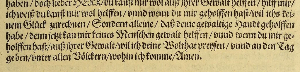 An illustration from Dritte Buch Americae, darinn Brasilia : durch Johann Staden von Homberg auss Hessen, auss eigener erfahrung in Teutsch beschrieben. Item Historia der Schiffart Ioannis Lerij in Brasilien, welche er selbst publiciert hat, jetzt von newem verteutscht, durch Teucrium Annaeum Priuatum, C. Vom Wildern vnerhörtem wesen der Innwoner, von allerley frembden Gethieren vnd Gewächsen, sampt einem Colloquio, in der Wilden Sprach., 1606, leaf 93