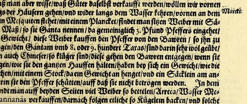 An illustration from Dritter Theil Indiae Orientalis, darinnen erstlich das ander Theil der Schifffahrten Johann Huygens von Lintschotten auss Holland, so er in Orient gethan, begriffen, vnd fürnemlich alle Gelegenheit derselbigen Landen, Insulen, Meerpforten, &c. so vnterwegen auffstossen, vnd dann in India fürkommen, wie auch alles, was der Author allda im Land, vnd nachmals auff seiner Widerreyse nach Holland gesehen vnd erfahren, eygendlich beschrieben wirt. : II. Der Holländer Schifffahrt in die Orientalische Insulen, Javan vnd Sumatra, sampt Sitten, Leben vnd Superstition, &c. der Völcker. III. Drey Schifffahrten der Holländer nach obermelten Indien, durch das Mittnächtige oder Eiss Meer, darinnen viel vnerhörte Abenthewr. Alles auffs trewlichst von neuwem auss den Niderländischen Exemplarien in Hochteutsch bracht, vnd in guter Disposition zusammen gefügt., 1616, leaf 157