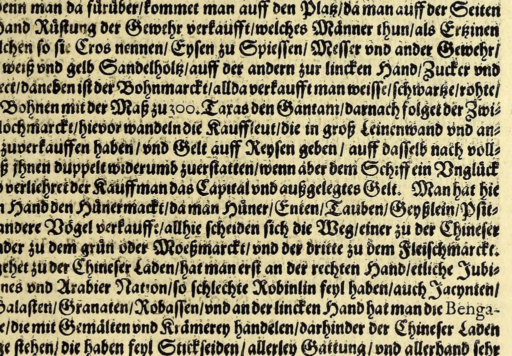 An illustration from Dritter Theil Indiae Orientalis, darinnen erstlich das ander Theil der Schifffahrten Johann Huygens von Lintschotten auss Holland, so er in Orient gethan, begriffen, vnd fürnemlich alle Gelegenheit derselbigen Landen, Insulen, Meerpforten, &c. so vnterwegen auffstossen, vnd dann in India fürkommen, wie auch alles, was der Author allda im Land, vnd nachmals auff seiner Widerreyse nach Holland gesehen vnd erfahren, eygendlich beschrieben wirt. : II. Der Holländer Schifffahrt in die Orientalische Insulen, Javan vnd Sumatra, sampt Sitten, Leben vnd Superstition, &c. der Völcker. III. Drey Schifffahrten der Holländer nach obermelten Indien, durch das Mittnächtige oder Eiss Meer, darinnen viel vnerhörte Abenthewr. Alles auffs trewlichst von neuwem auss den Niderländischen Exemplarien in Hochteutsch bracht, vnd in guter Disposition zusammen gefügt., 1616, leaf 157