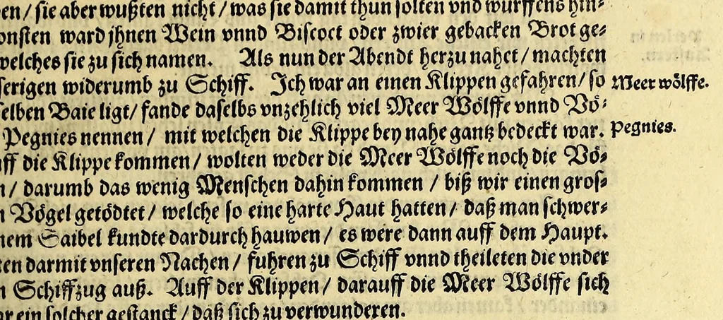 An illustration from Dritter Theil Indiae Orientalis, darinnen erstlich das ander Theil der Schifffahrten Joann Huygens von Lintschotten auss Hollandt, so er in Orient gethan, begriffen, vnd fürnemlich alle gelegenheit derselbigen Landen, Insulen, Meerpforten, &c. so vnterwegen auffstossen, vnd dann in India fürkommen, wie auch alles, was der Author allda im Landt, vnd nachmals auff seiner Widerreyse nach Hollandt gesehen vnd erfahren, eygentlich beschrieben wirdt. : II. Der Holländer Schifffahrt in die Orientalische Insulen, Iauan vnd Sumatra, sampt Sitten, Leben vnd Superstition, &c. der Völcker. III. Drey Schifffahrten der Holländer nach obermeldten Indien, durch das Mittnächtigsche oder Eissmeer, darinnen viel vnerhörte Ebentewer. Alles auffs trewlichst von neuwem auss den Niderländischen Exemplarien in Hochteutsch Bracht, vnd in guter Disposition zusammen gefügt. Sampt vielen schönen künstlichen Figurn, vnd Landtafeln, in Kupffer gestochen, vnd an Tag geben, durch Io. Theodor vnd. Io. Israel de Bry, Gebrüder, 1599, leaf 121