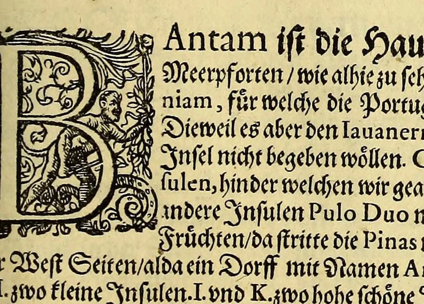 An illustration from Dritter Theil Indiae Orientalis, darinnen erstlich das ander Theil der Schifffahrten Joann Huygens von Lintschotten auss Hollandt, so er in Orient gethan, begriffen, vnd fürnemlich alle gelegenheit derselbigen Landen, Insulen, Meerpforten, &c. so vnterwegen auffstossen, vnd dann in India fürkommen, wie auch alles, was der Author allda im Landt, vnd nachmals auff seiner Widerreyse nach Hollandt gesehen vnd erfahren, eygentlich beschrieben wirdt. : II. Der Holländer Schifffahrt in die Orientalische Insulen, Iauan vnd Sumatra, sampt Sitten, Leben vnd Superstition, &c. der Völcker. III. Drey Schifffahrten der Holländer nach obermeldten Indien, durch das Mittnächtigsche oder Eissmeer, darinnen viel vnerhörte Ebentewer. Alles auffs trewlichst von neuwem auss den Niderländischen Exemplarien in Hochteutsch Bracht, vnd in guter Disposition zusammen gefügt. Sampt vielen schönen künstlichen Figurn, vnd Landtafeln, in Kupffer gestochen, vnd an Tag geben, durch Io. Theodor vnd. Io. Israel de Bry, Gebrüder, 1599, leaf 301