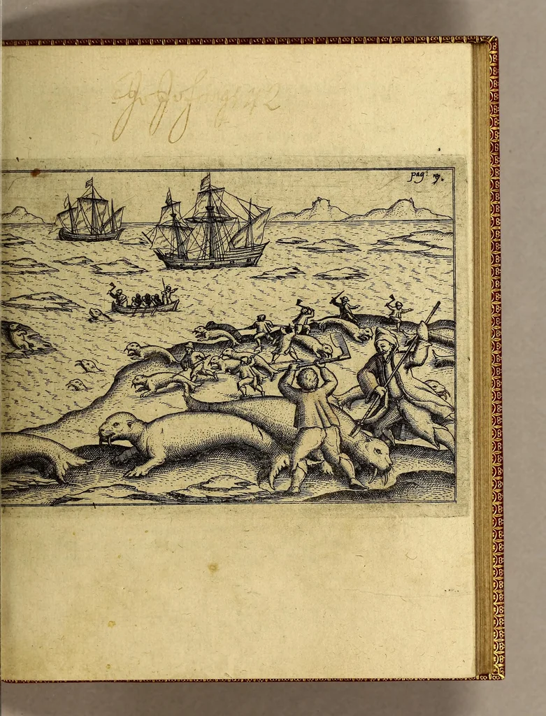 An illustration from Dritte Theil, Warhafftige Relation[.] Der dreyen newen vnerhörten, seltzame[n] Schiffart, so die holländischen vnd seeländischen Schiff gegen Mitternacht, drey Jar nach einander, als An[n]o 1594. 1595. vnd 1596. verricht. : Wie sie Nordvvegen, Lappiam, Biarmiam, vnd Russiam, oder Moscoviam (vorhabens ins Königreich Cathay vnd China zu kommen) vmgebsegelt haben. Auch wie sie das Fretu[m] Nassoviae, Waygats, Novam Semblam, vnd das Landt vnter dem 8o. Gradu Latitud, so man vermeint das Gronland sey, gefunden: vnd was für gefahr, der erschrecklichen Bärn, Meerwunder, vnd dem Eyss, sie aussgestanden., 1602, leaf 39