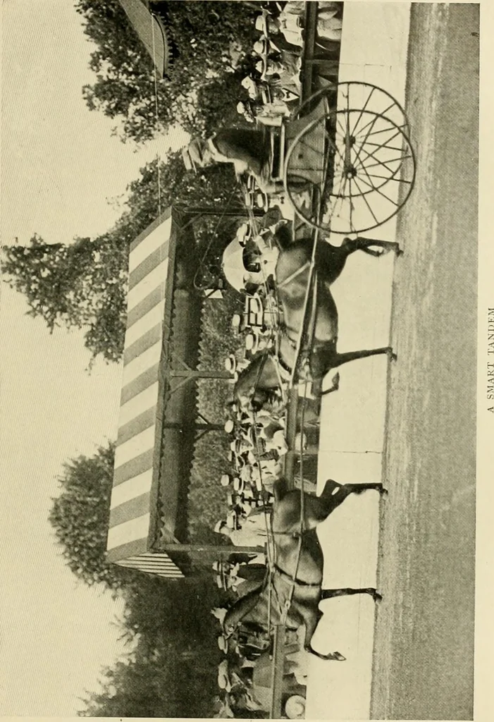 An illustration from Driving, 1903, leaf 121
