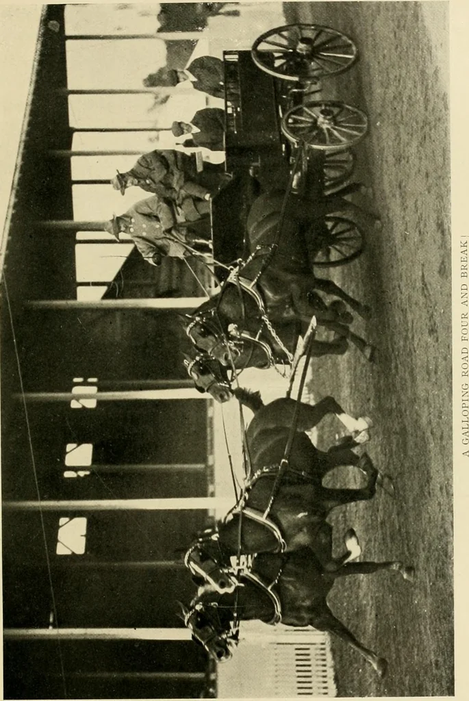 An illustration from Driving, 1903, leaf 127