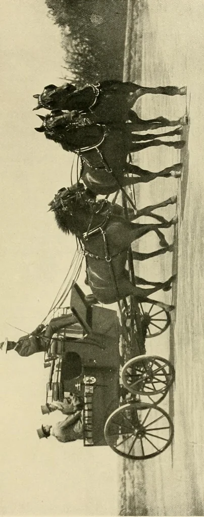 An illustration from Driving, 1903, leaf 131