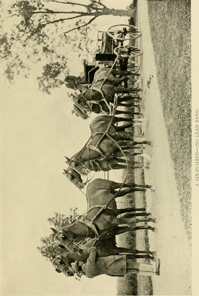 An illustration from Driving, 1903, leaf 137