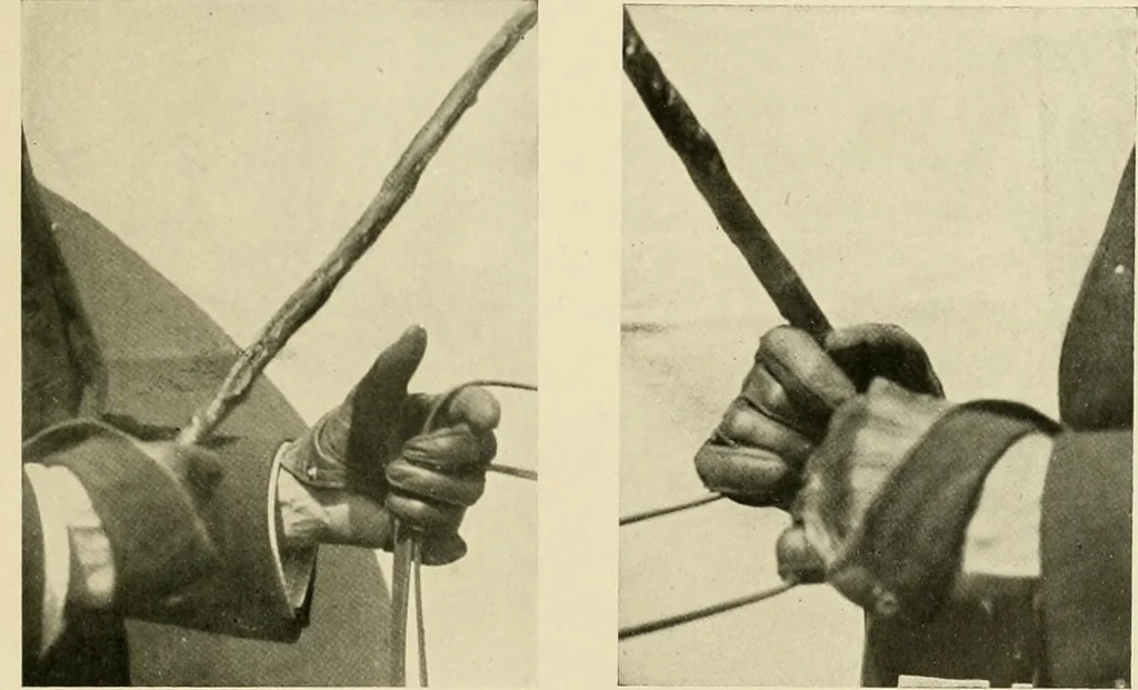 An illustration from Driving, 1903, leaf 143