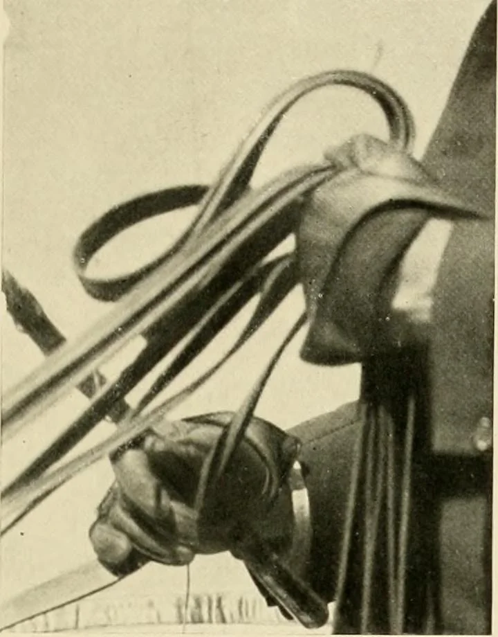 An illustration from Driving, 1903, leaf 155