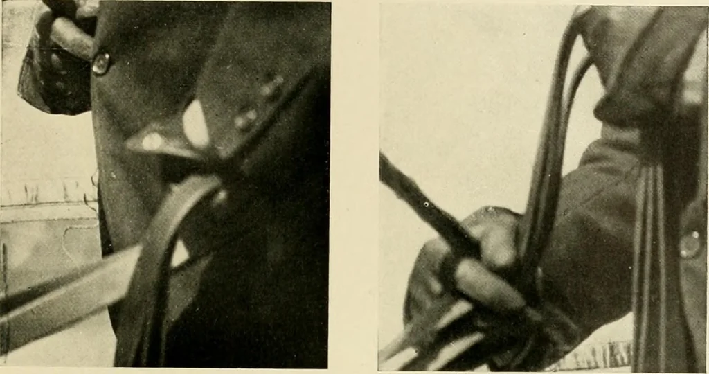 An illustration from Driving, 1903, leaf 159