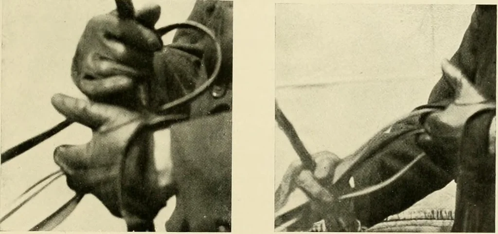 An illustration from Driving, 1903, leaf 163
