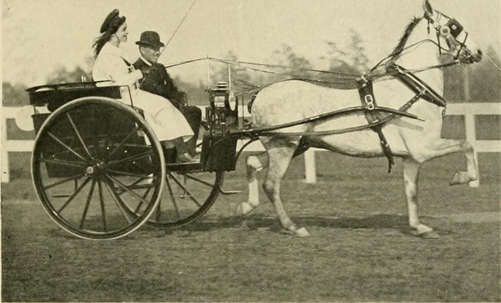 An illustration from Driving, 1903, leaf 167