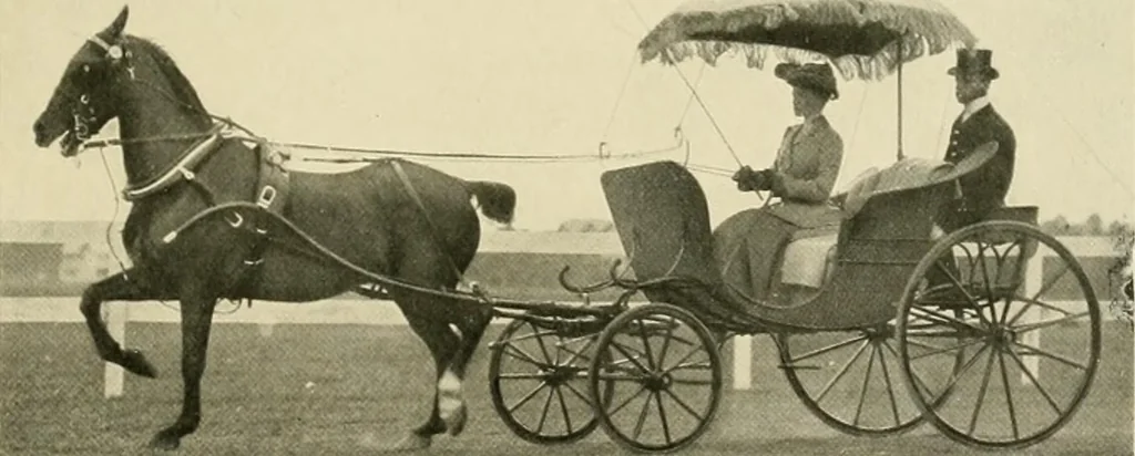 An illustration from Driving, 1903, leaf 167