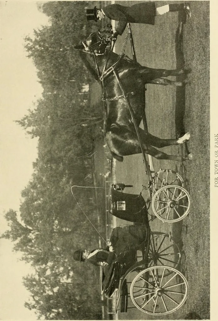 An illustration from Driving, 1903, leaf 171