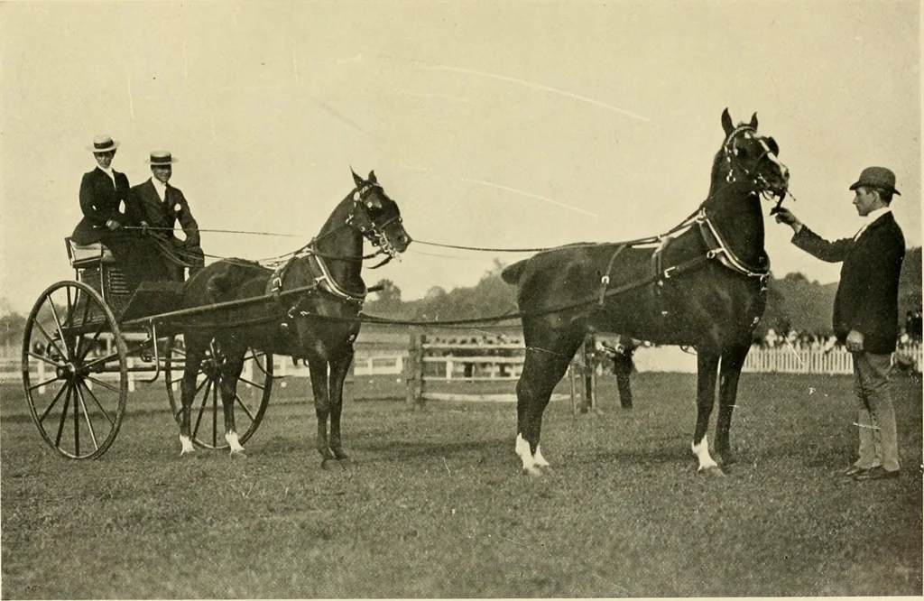An illustration from Driving, 1903, leaf 175