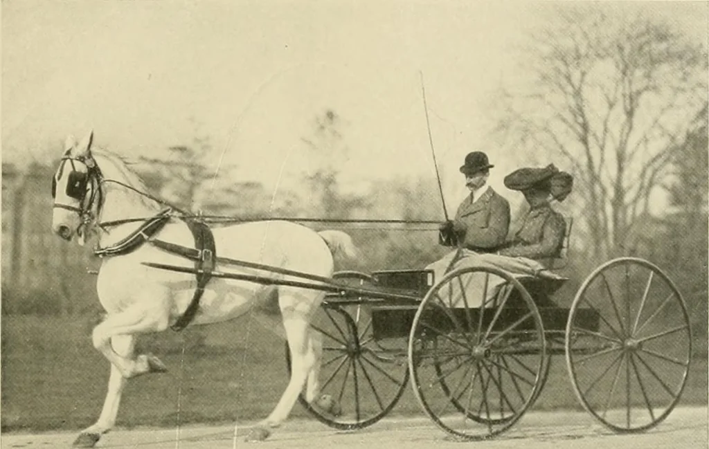An illustration from Driving, 1903, leaf 195