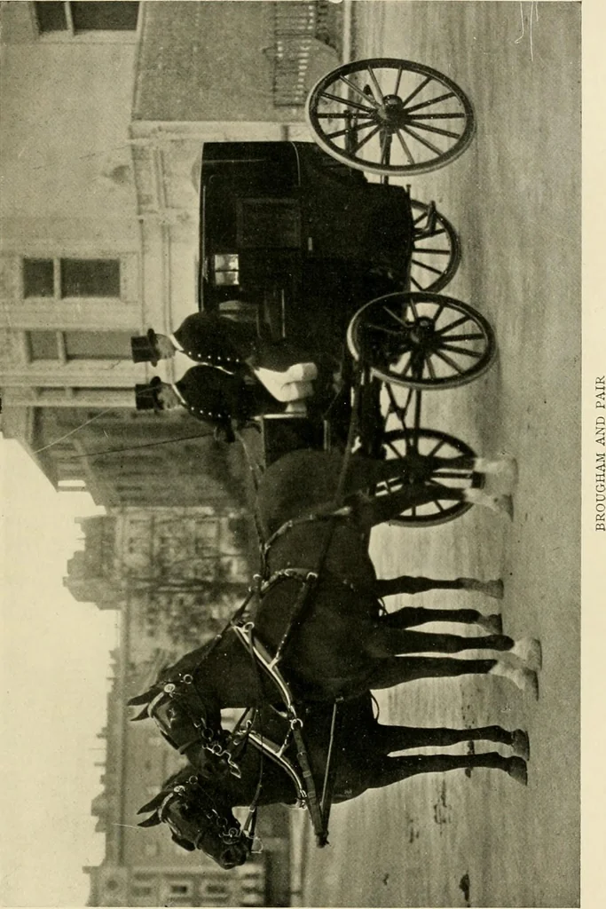 An illustration from Driving, 1903, leaf 207