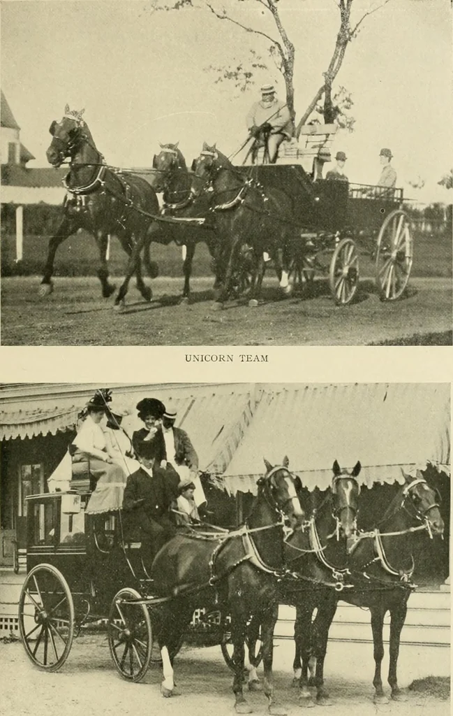 An illustration from Driving, 1903, leaf 215