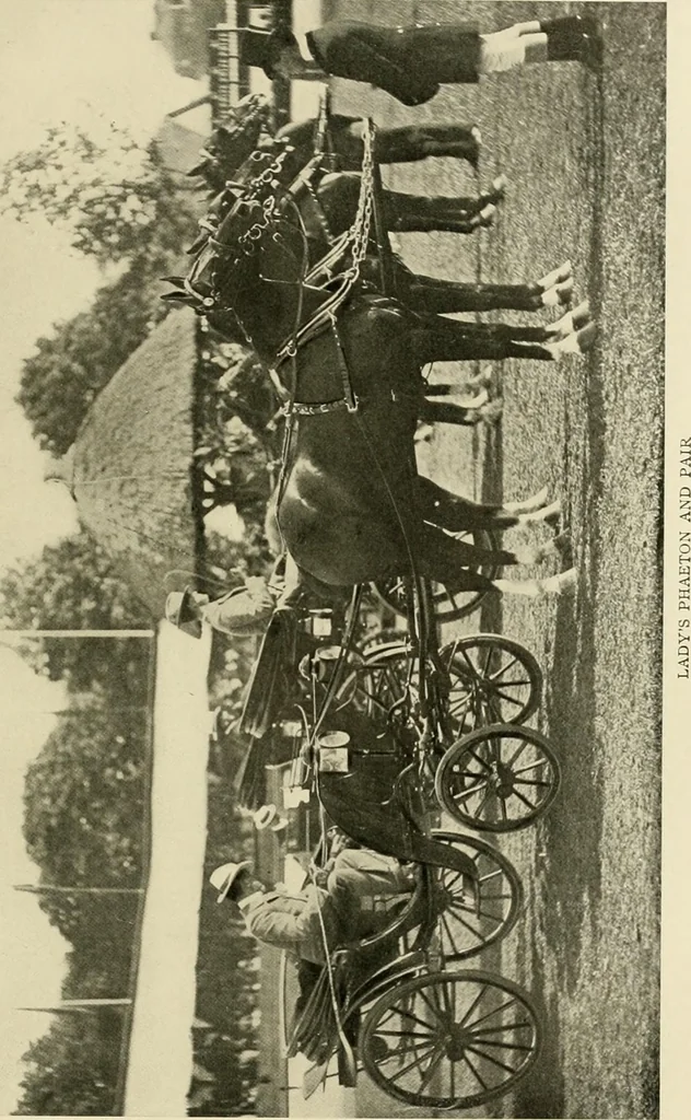 An illustration from Driving, 1903, leaf 219