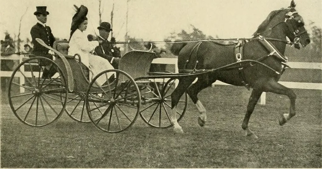 An illustration from Driving, 1903, leaf 223