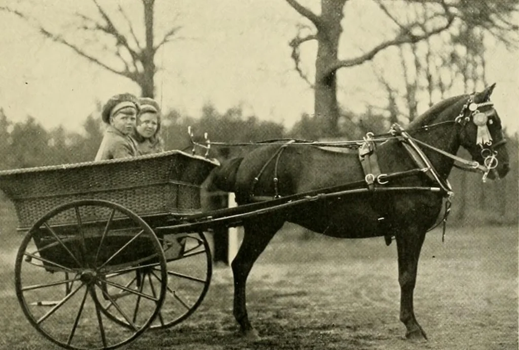 An illustration from Driving, 1903, leaf 223