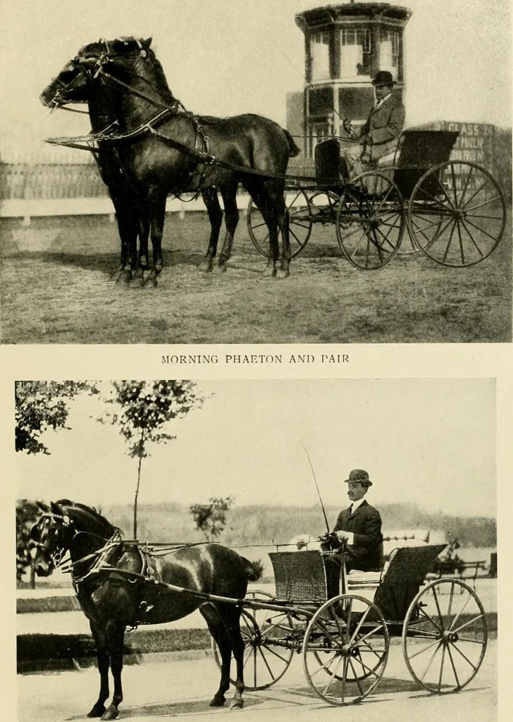 An illustration from Driving, 1903, leaf 227