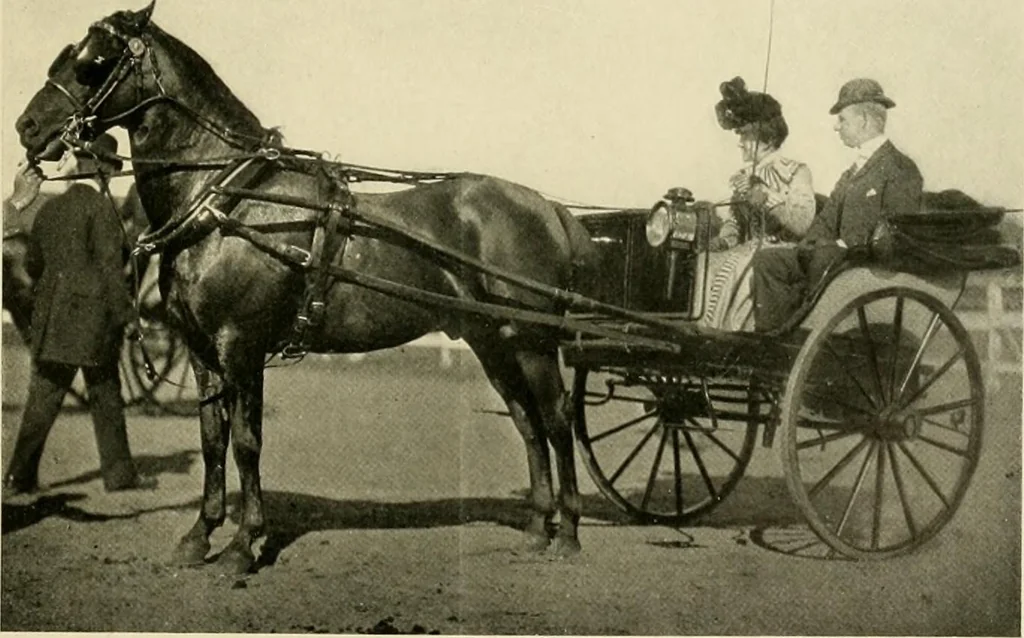 An illustration from Driving, 1903, leaf 231