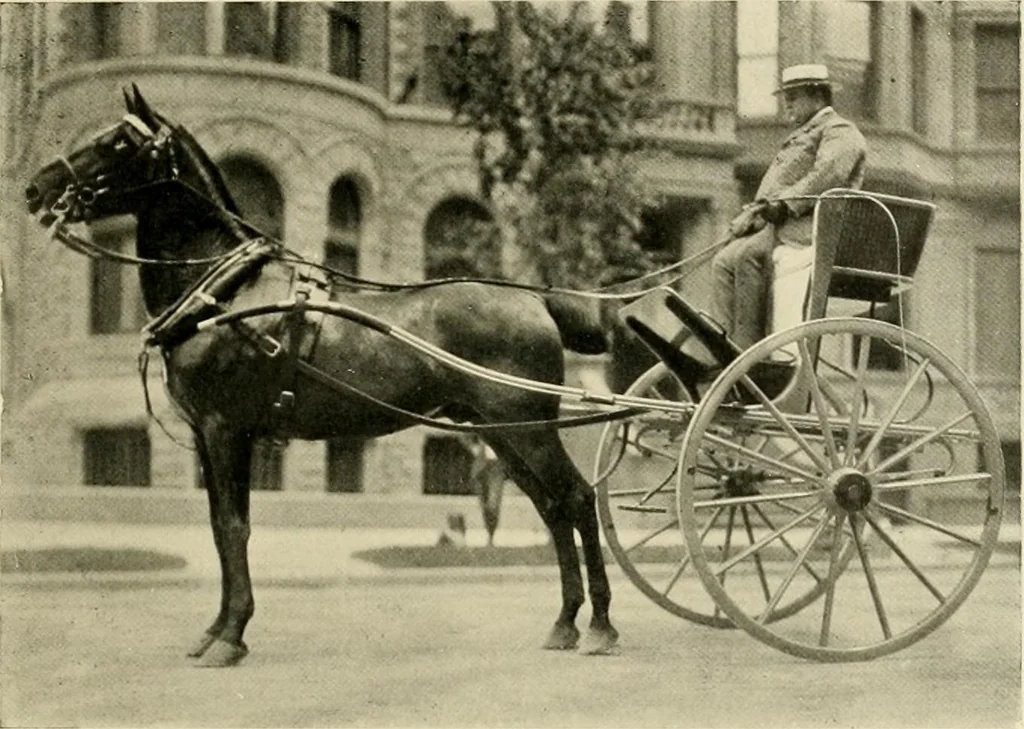 An illustration from Driving, 1903, leaf 235