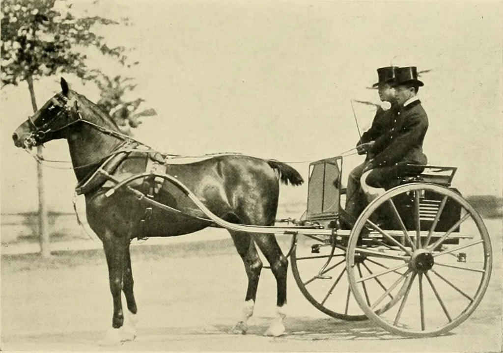 An illustration from Driving, 1903, leaf 235