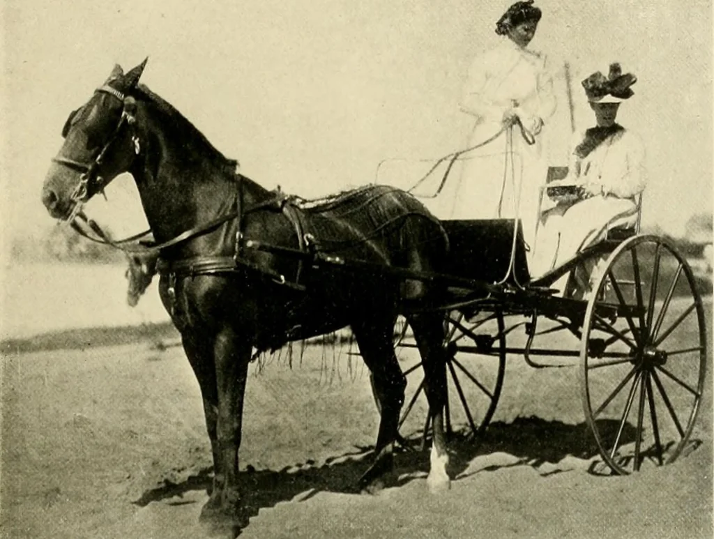 An illustration from Driving, 1903, leaf 239