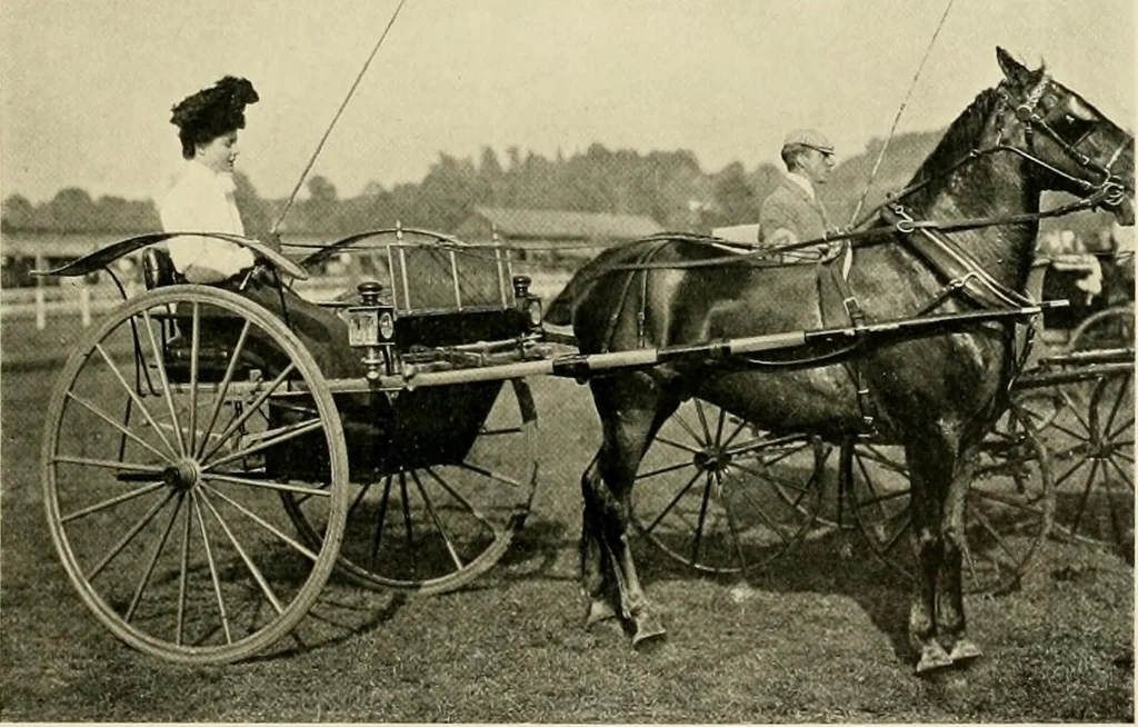 An illustration from Driving, 1903, leaf 239