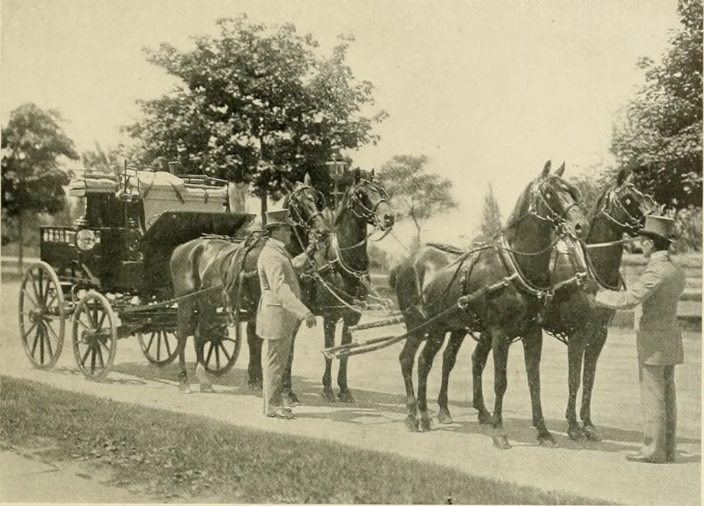 An illustration from Driving, 1903, leaf 243