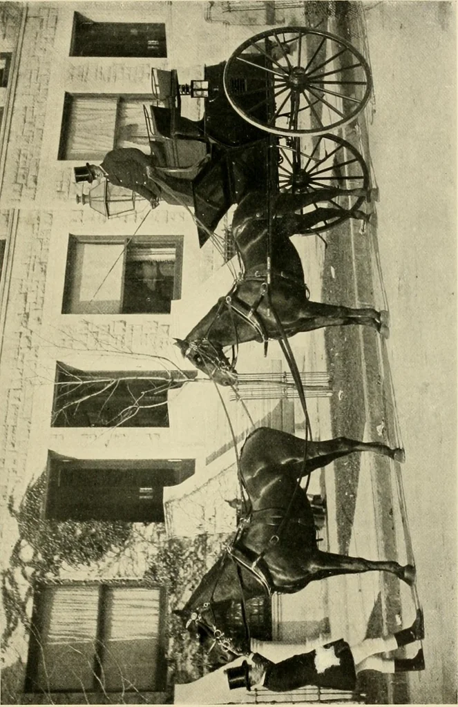 An illustration from Driving, 1903, leaf 247