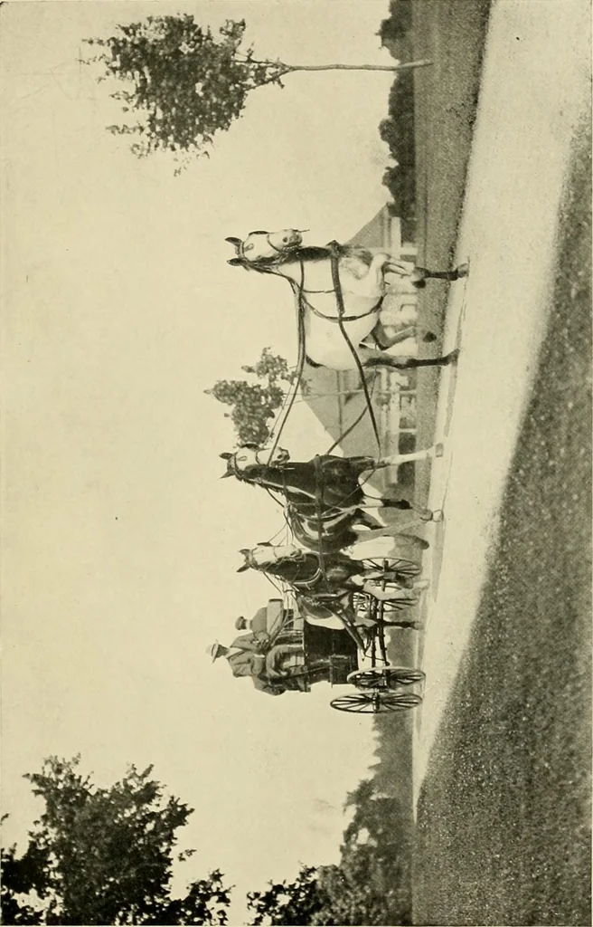 An illustration from Driving, 1903, leaf 251