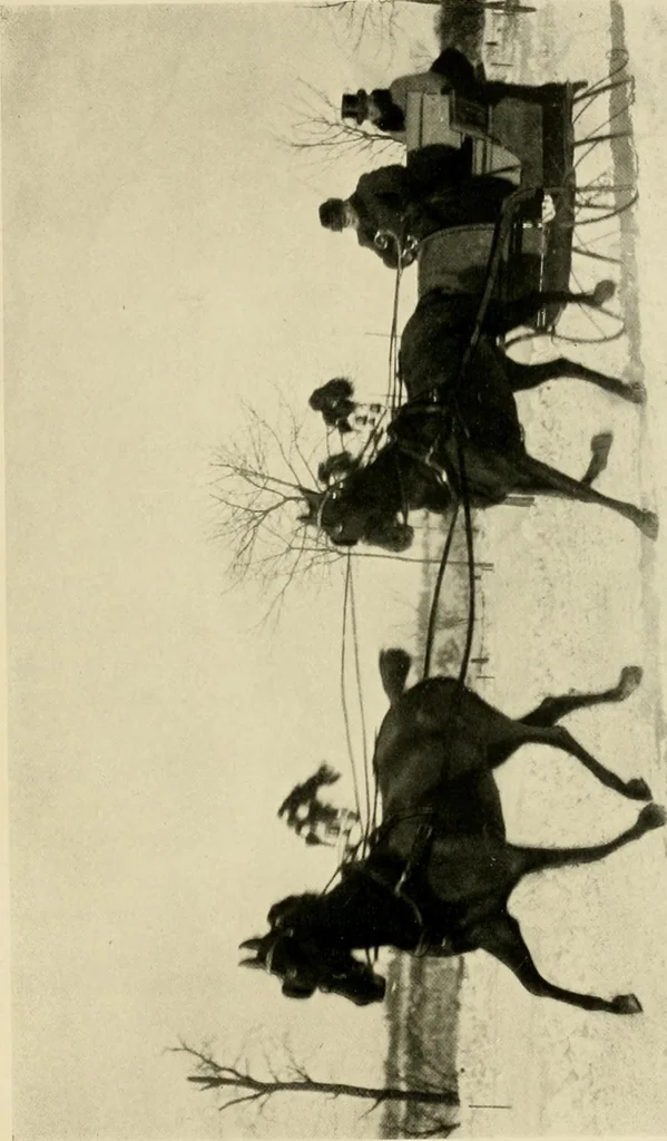 An illustration from Driving, 1903, leaf 255