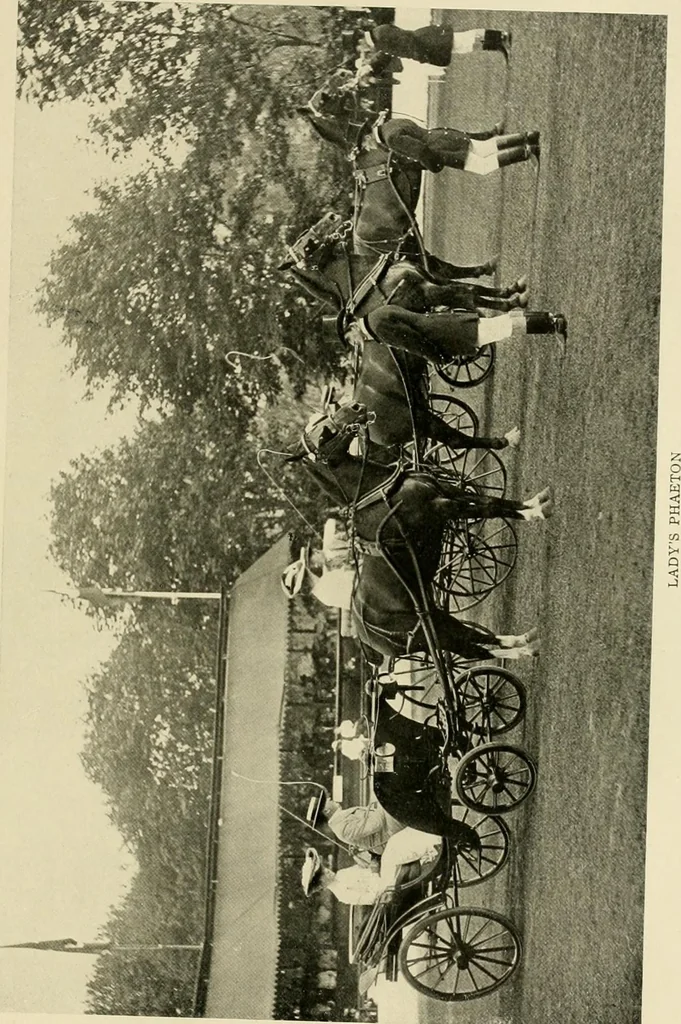 An illustration from Driving, 1903, leaf 313
