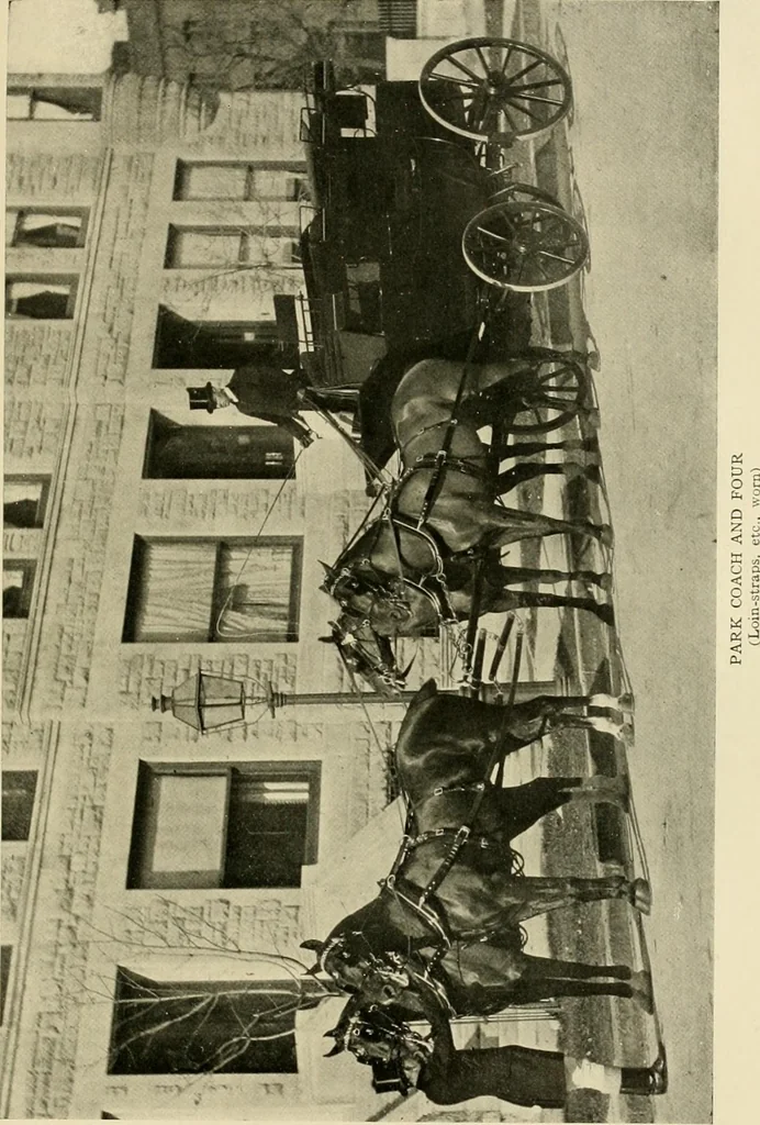An illustration from Driving, 1903, leaf 329