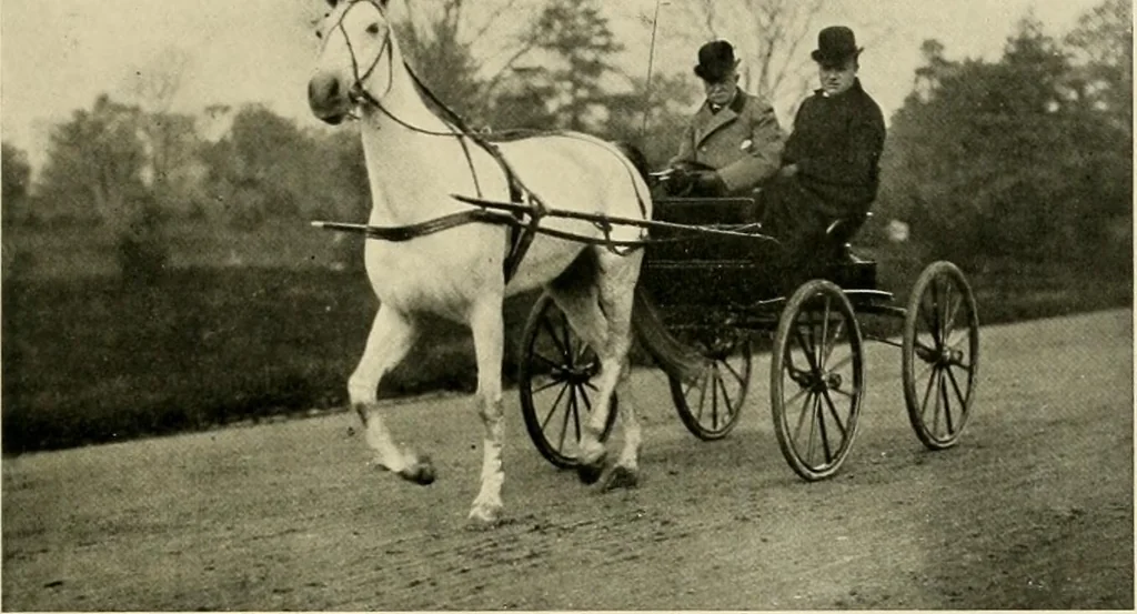 An illustration from Driving, 1903, leaf 377