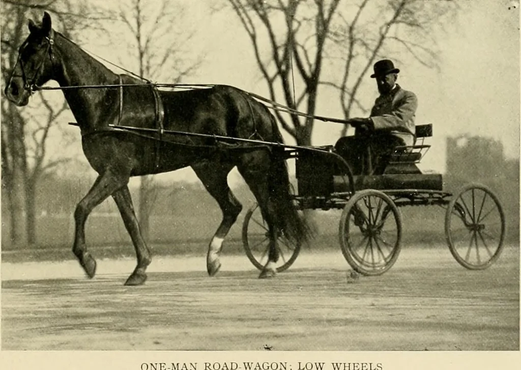 An illustration from Driving, 1903, leaf 377
